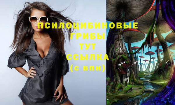 бошки Россошь