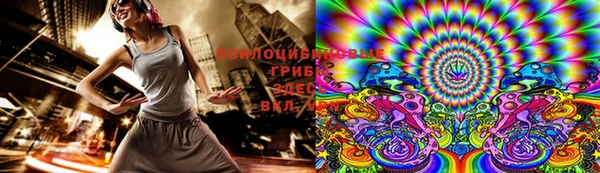 амфетамин Белокуриха